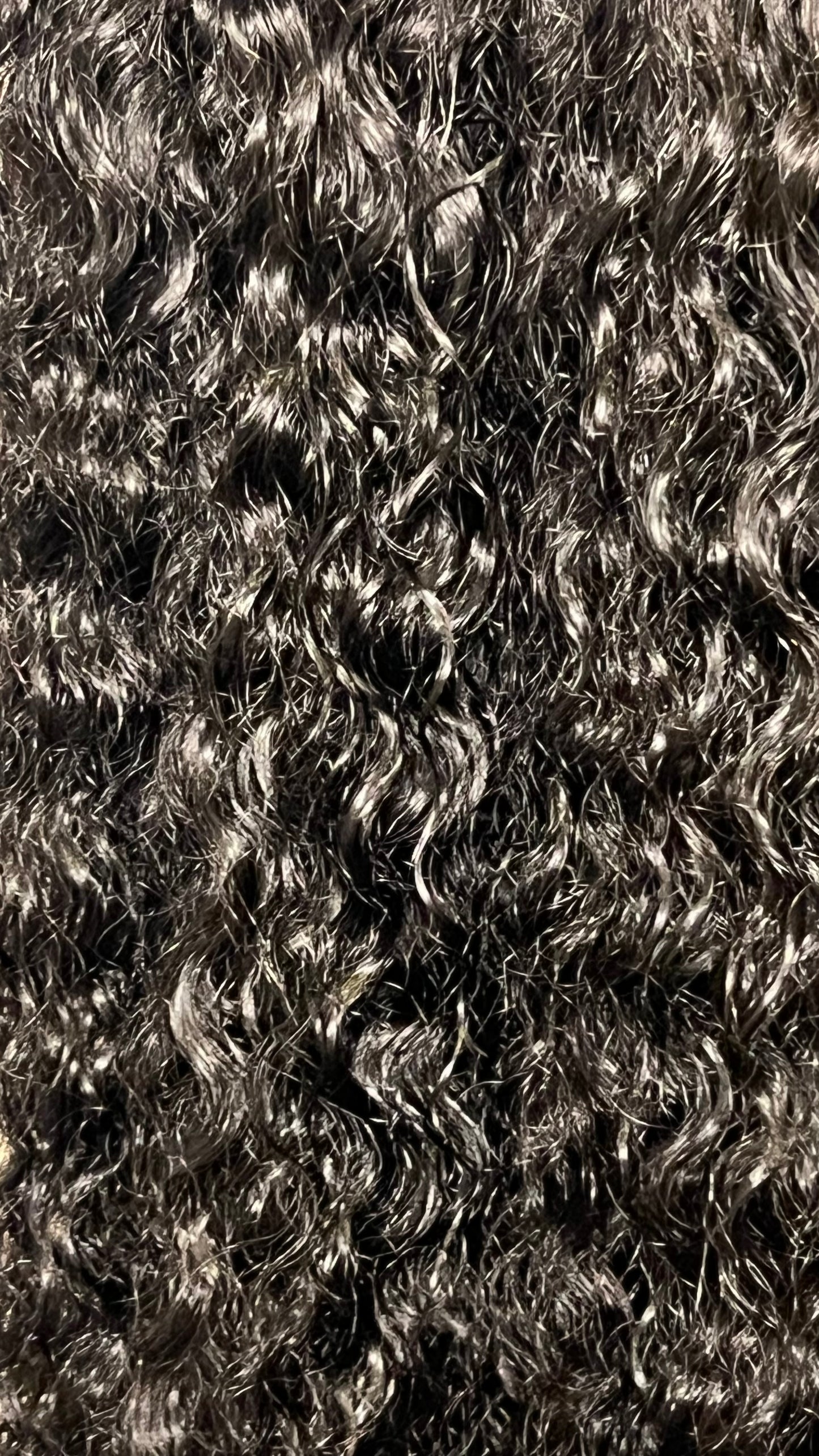 textuur van Burmese Curly